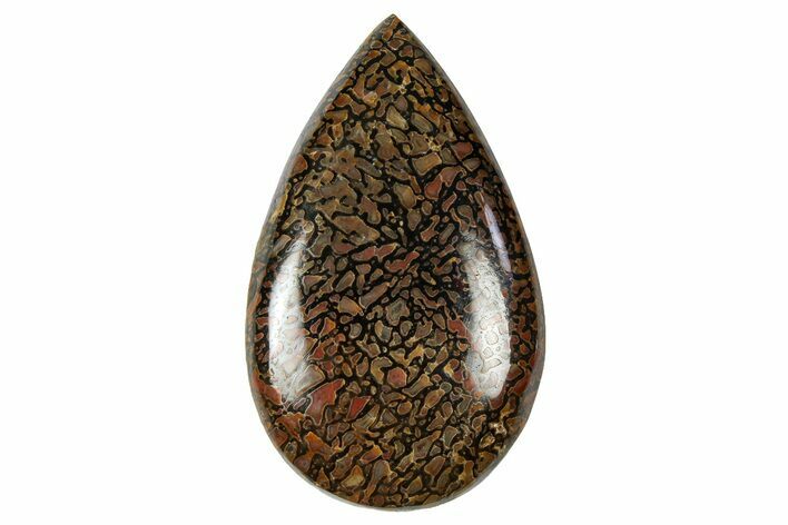 Polished Dinosaur Bone (Gembone) Cabochon - Colorado #370758
